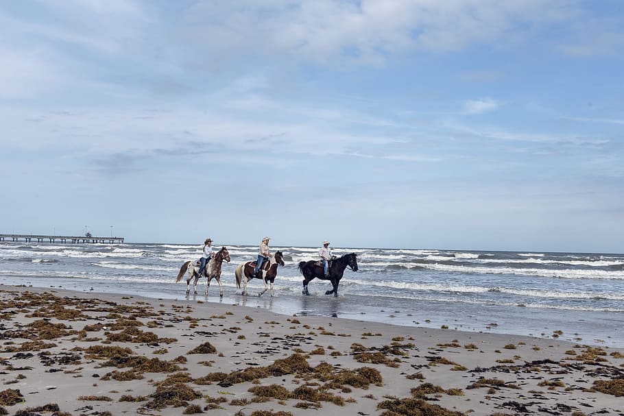 Horses, Beach, Riders, Ocean, Water, sand, coast, horseback, HD wallpaper