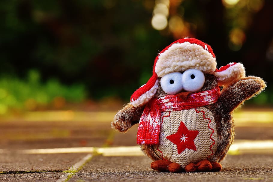 bird plush toy on surfac e, owl, winter, funny, cap, scarf HD wallpaper