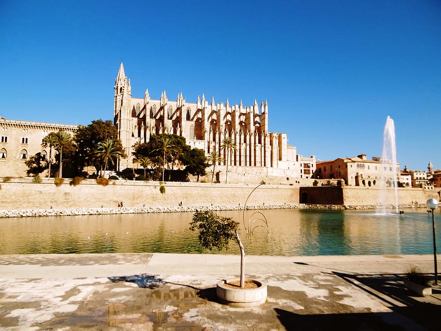 Palma De Mallorca, Cathedral, spain, holiday, beach, sea, light, HD wallpaper