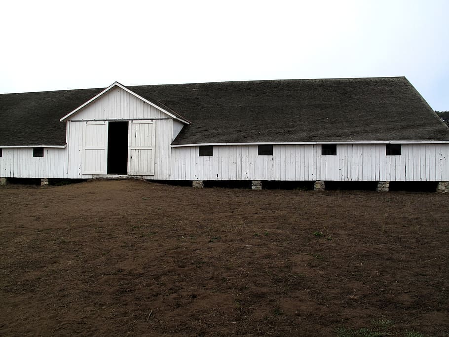 barn, landscape, outdoor, tranquil, abandoned, built structure HD wallpaper