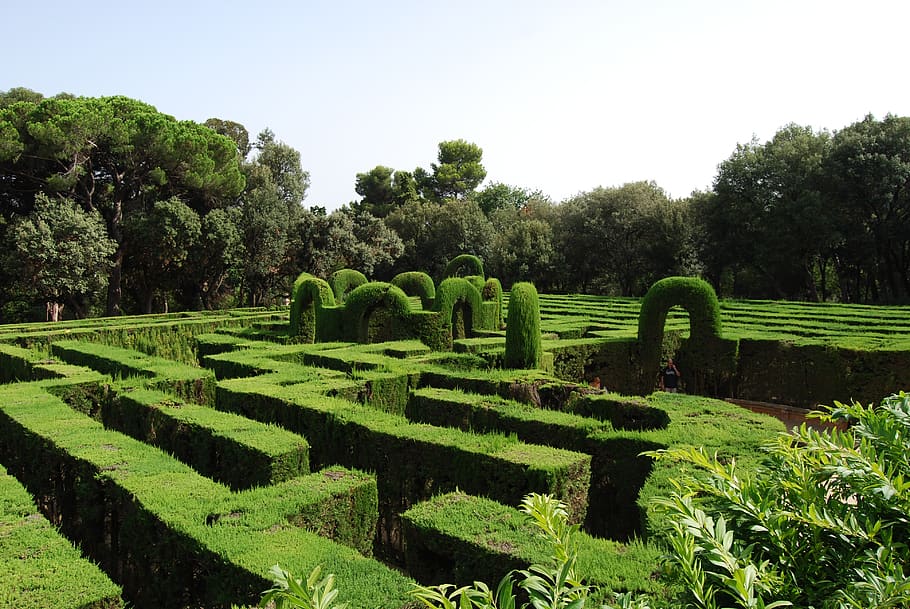 maze, green, labyrinth, hedge, schlossgarten, garden, baroque, HD wallpaper