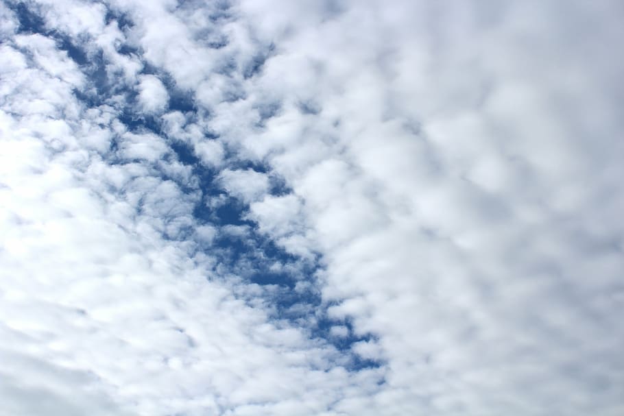 clouds, blue white, clouds form, light, sky, sunlight, contrast HD wallpaper