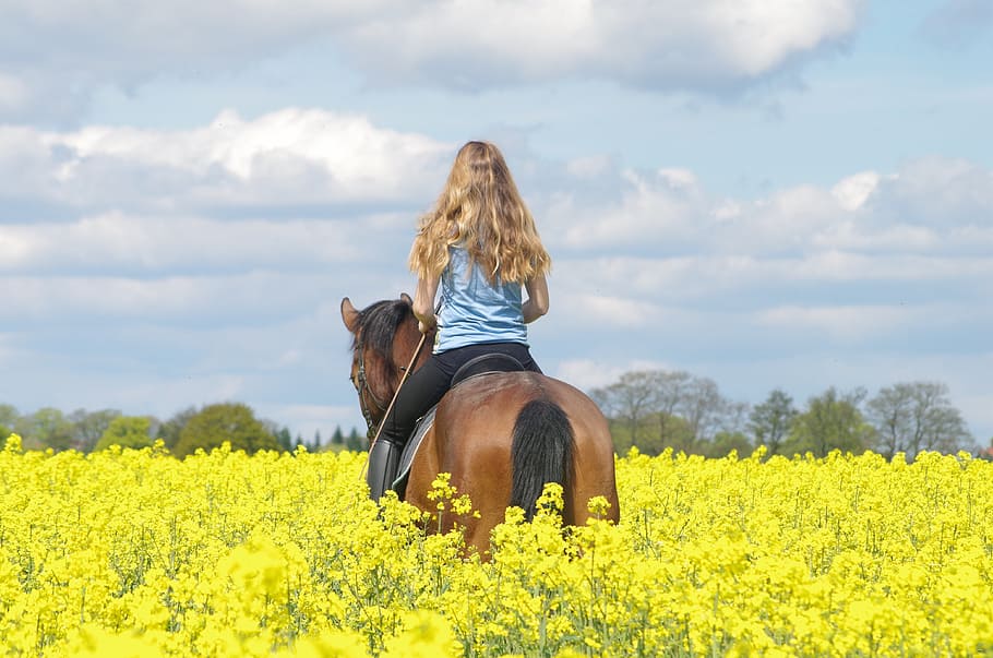 ride, friends, human, relationship, together, saddle, dreamy HD wallpaper