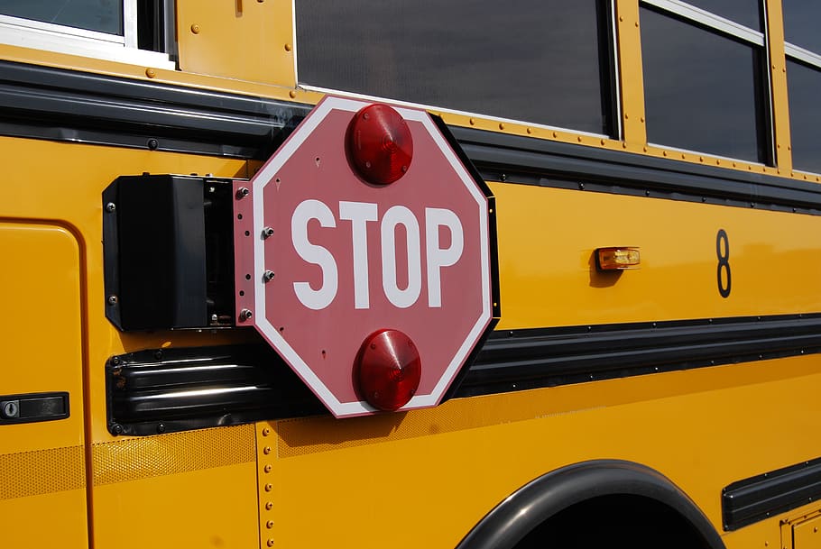 Stop sign, bus, yellow, schoolbus, transportation, mode of transportation HD wallpaper