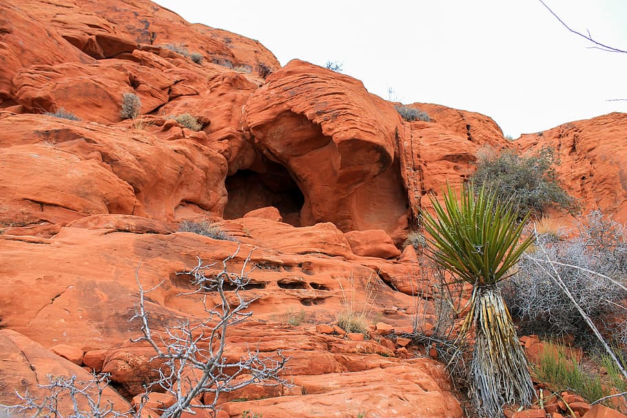 utah, red rocks, las vegas, national, park, desert, erosion, HD wallpaper