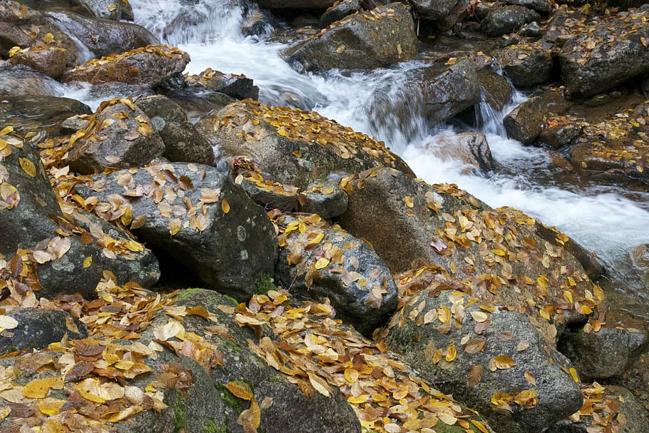 autumn, fall, foliage, rocks, stream, nature, rock - Object HD wallpaper