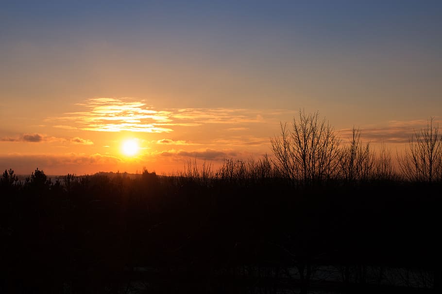 sunset, winter, sky, clouds, landscape, trees, branches, nature HD wallpaper