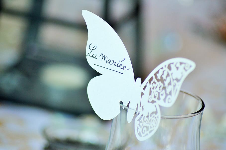 selective focus photography of white butterfly on clear glass container HD wallpaper