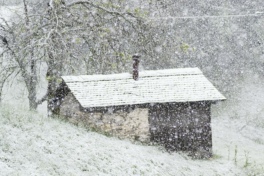 cabin, snow, mountain, winter, plant, day, tree, nature, no people HD wallpaper