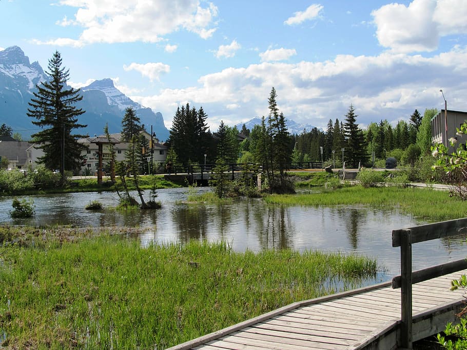 canmore, alberta, canada, nature, rockies, water, plant, tree HD wallpaper
