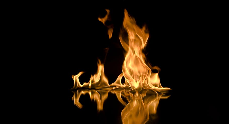 orange fire, the flame, firefox, burn, hot, flames, grate, heat HD wallpaper