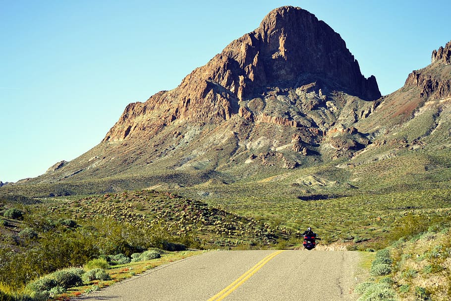 person riding on motorcycle in between green leafed plants HD wallpaper