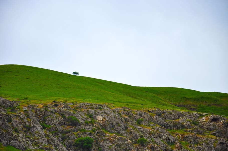 mountain, tree, green, background, landscape, sky, cloud, clouds HD wallpaper