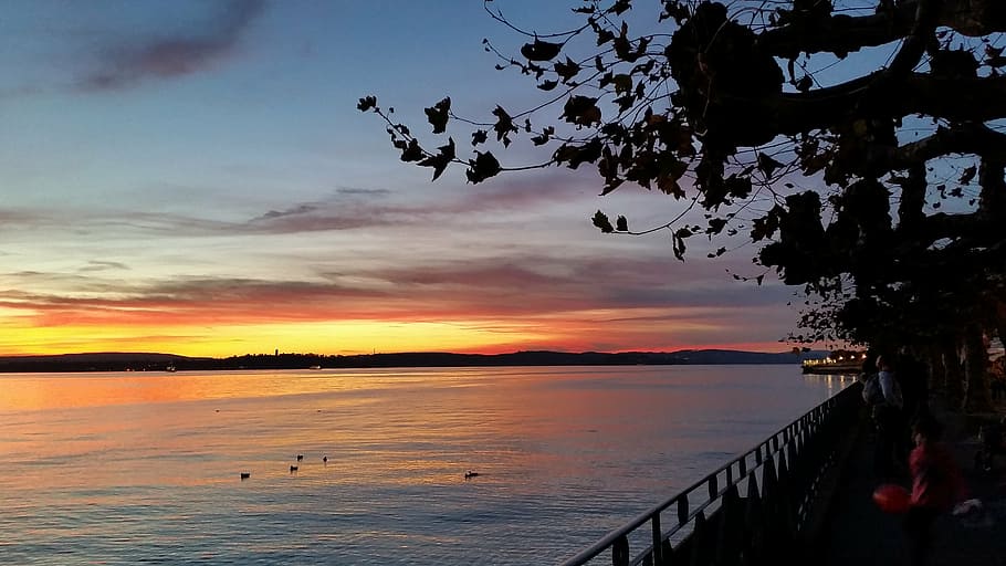 lake constance, sunset, water, sky, abendstimmung, port, mirroring HD wallpaper