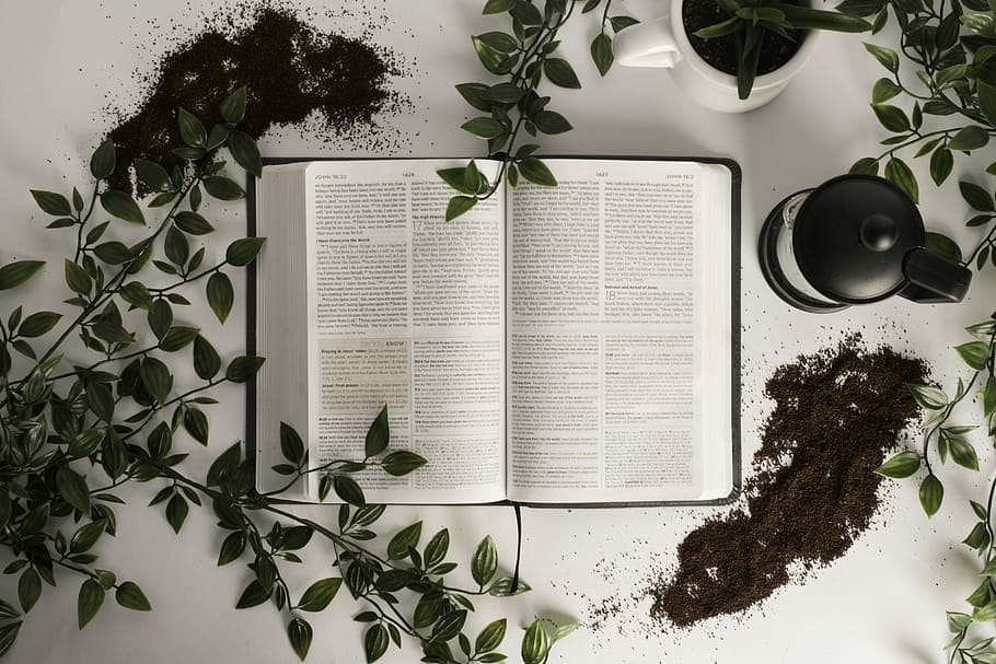 HD wallpaper: Holy Bible, book on table surrounded by leaves, plant, coffee  | Wallpaper Flare