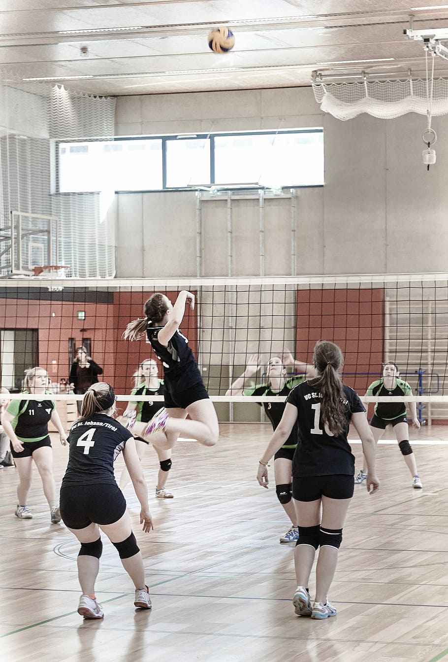 people playing volleyball, Sport, Ball, Play, competition, young, HD wallpaper