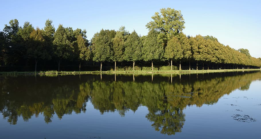 castle park, schlossgarten, mirroring, reflection, water, trees HD wallpaper
