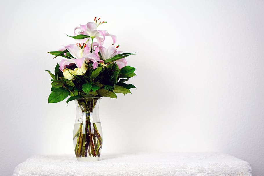 pink and white flower in clear glass vase on white towel, flowers