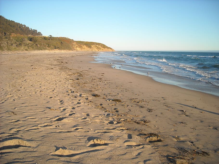 beach, seagulls, ocean, pacific, shoreline, surf, california HD wallpaper