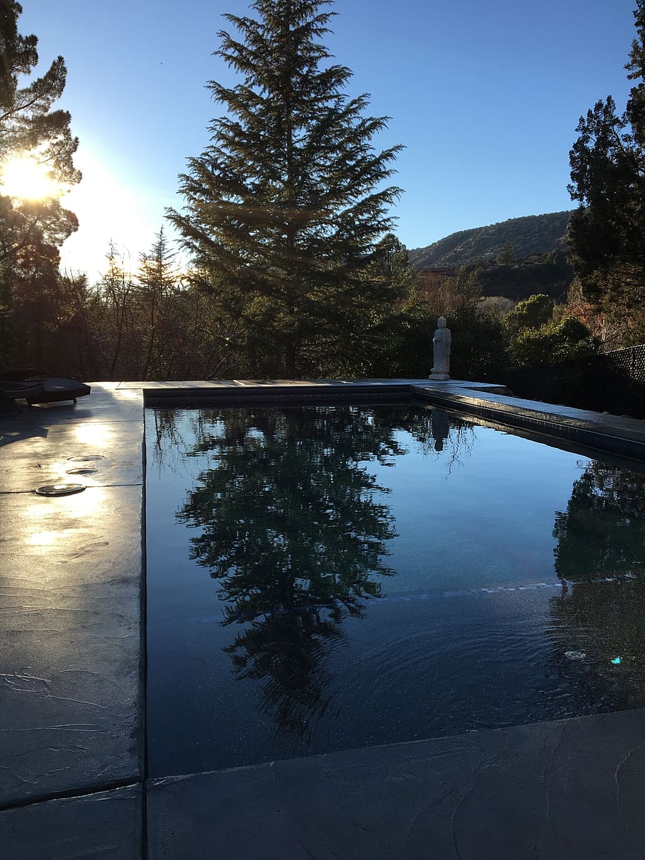 tree, nature, water, reflection, pool, design, plant, sky, lake HD wallpaper