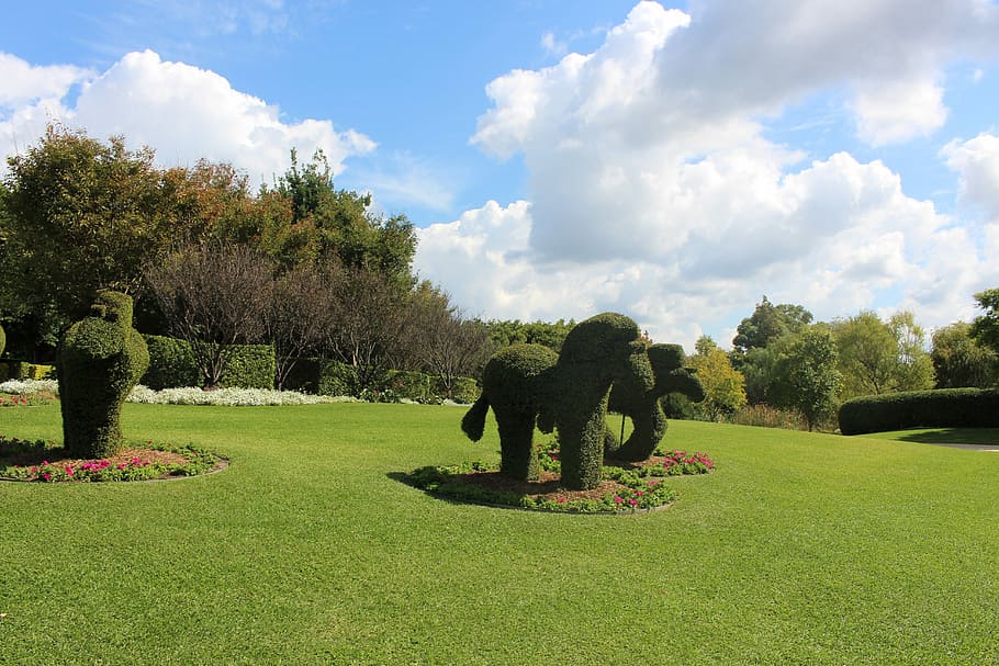 Grass, Elephant, made, tree, cloud - sky, green color, animal HD wallpaper