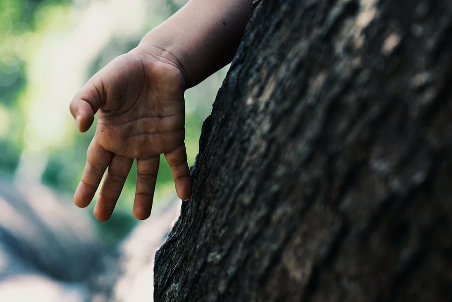 bark, blur, child, close-up, daylight, outdoors, person, small hand HD wallpaper