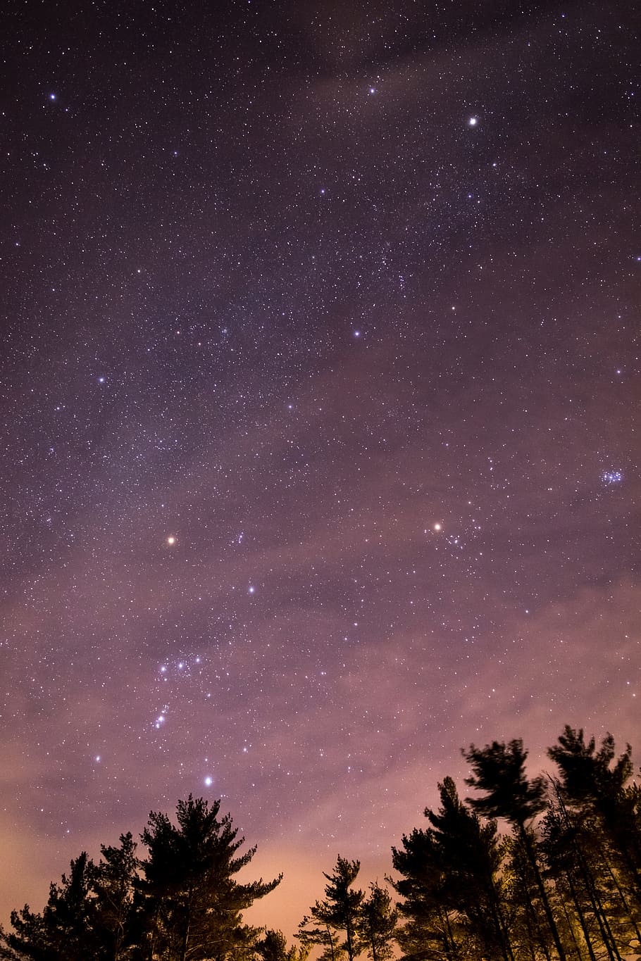Silhouette of Trees during Night Time, astrology, astronomy, clouds HD wallpaper