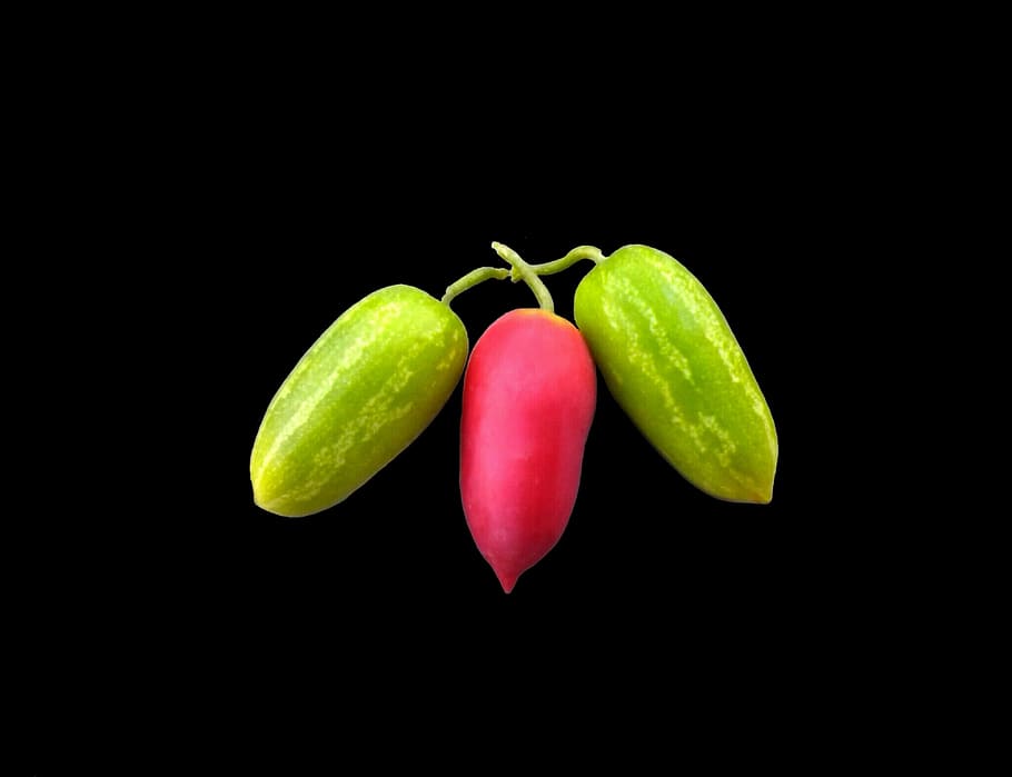 Vegetables, Cucumbers, Cukes, food, healthy, ingredient, diet HD wallpaper