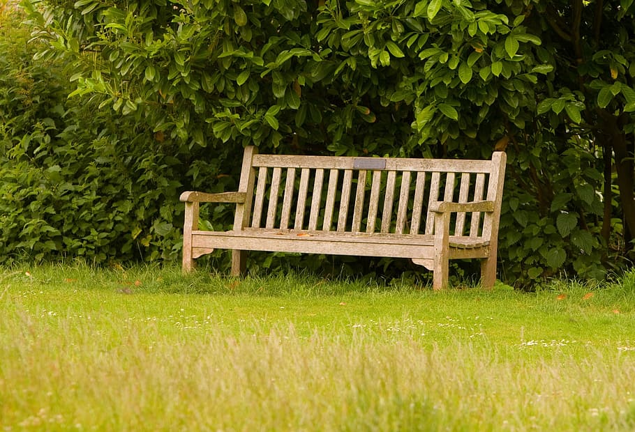 brown wooden bench beside tree during daytime, grass, green HD wallpaper