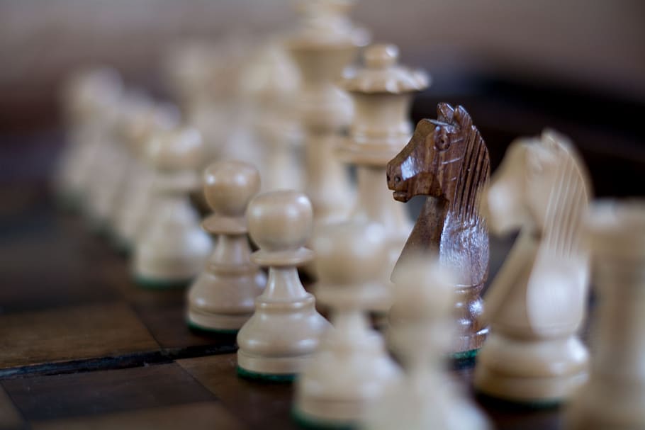 chess-horse-game-strategy.jpg