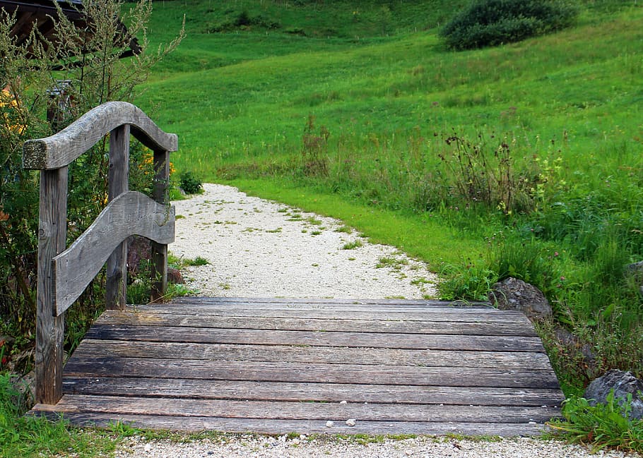 Transition, Away, Bridge, Web, Wood, boardwalk, wooden bridge HD wallpaper