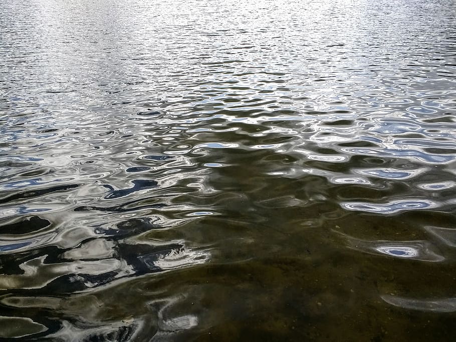 water, water surface, reflection, mirroring, wave, nature, reflections HD wallpaper