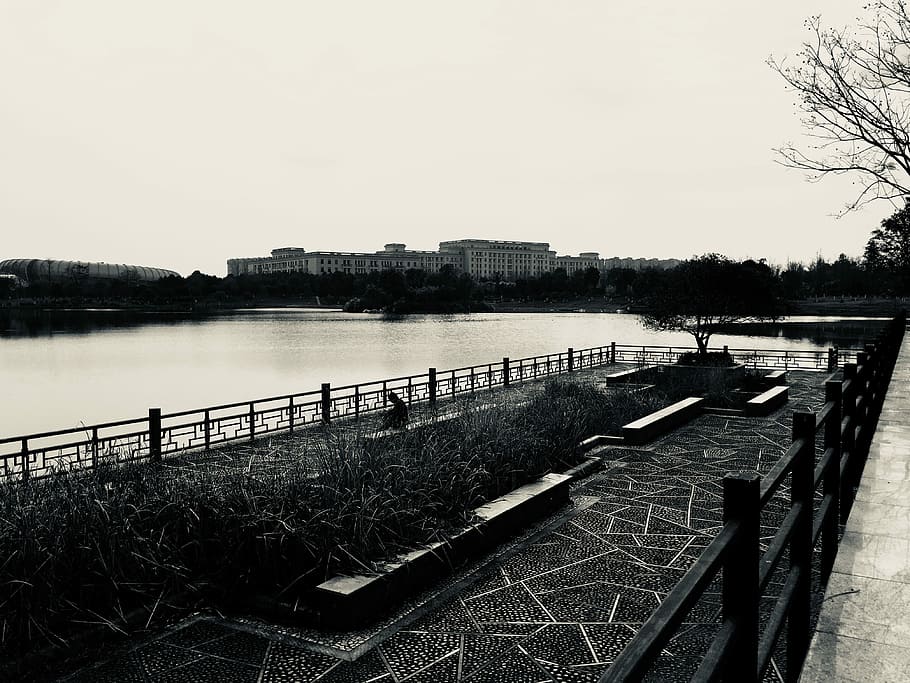 black steel rail near body of water during daytime, grayscale photo of body of water near building, HD wallpaper