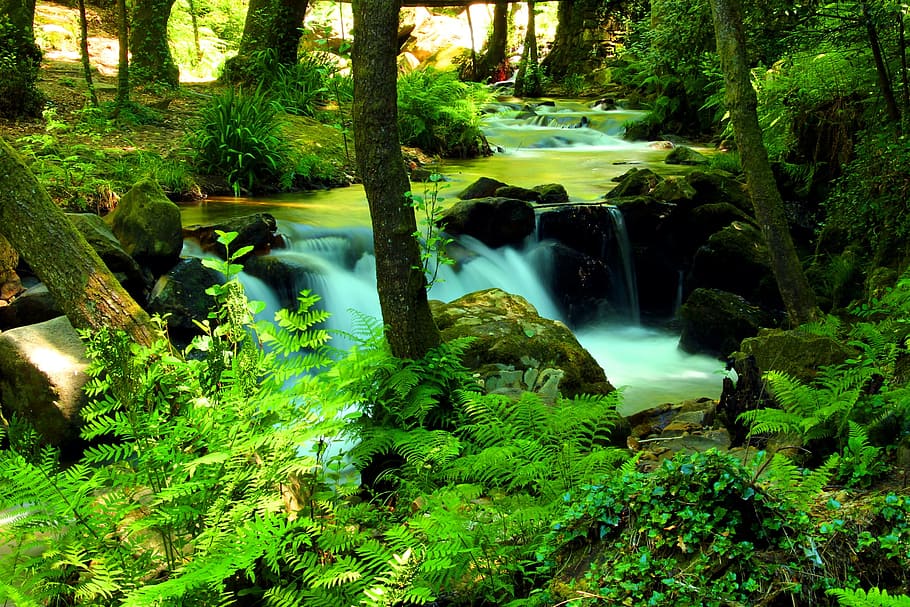 Cascade, Sever, Vouga, Forest, cabreia, long exposure, nature HD wallpaper