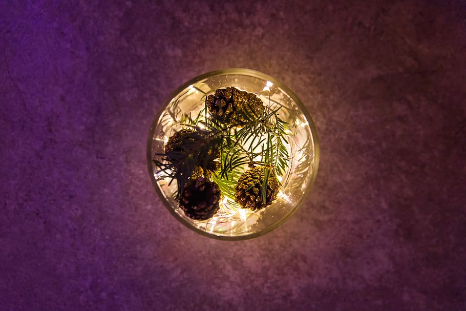 photo of round gold-colored plate, pinecone in glass vase, pine cone HD wallpaper