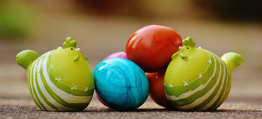 shallow focus photography of green rooster decor, easter, egg HD wallpaper