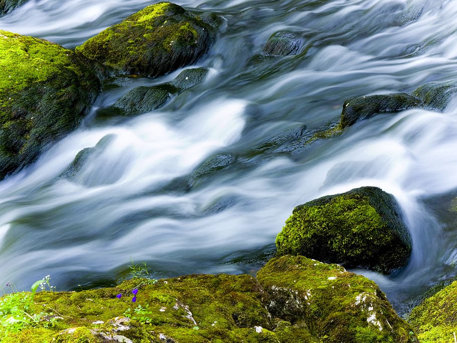 water, moss, river, dynamics, nature, stone, rock, bubble, stream bed HD wallpaper