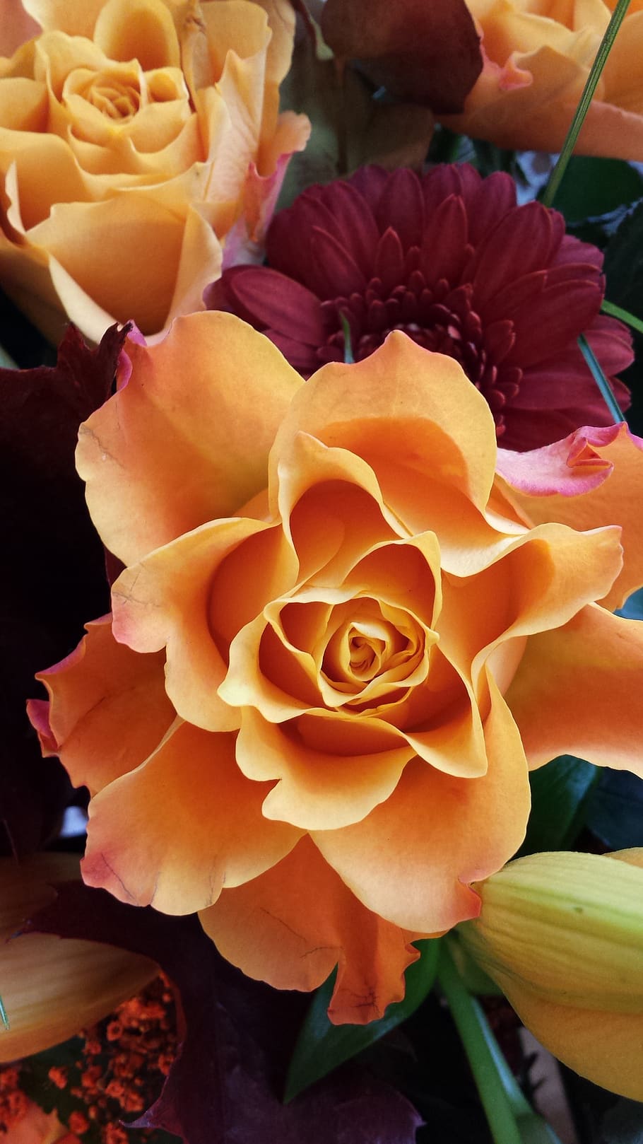 ros, flower, bouquet, flowering plant, beauty in nature, petal HD wallpaper