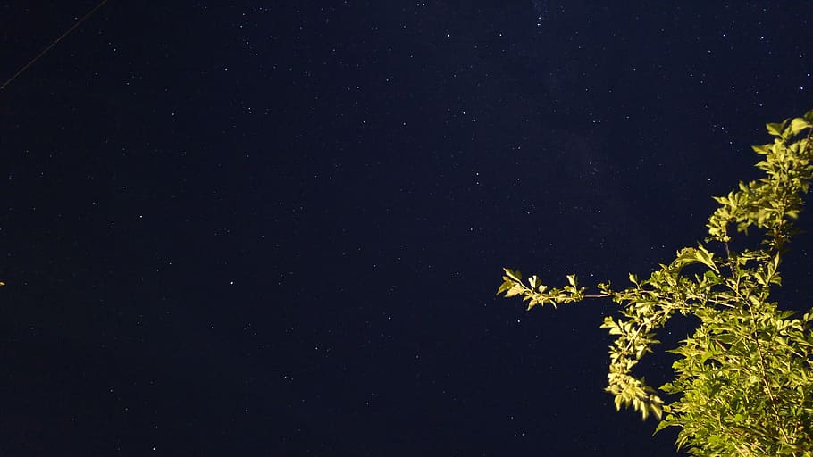 night, sky, star, long exposition, star - space, astronomy HD wallpaper