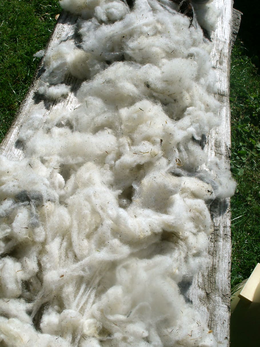 raw wool, pure new wool, sheep's wool, washed, nature wool