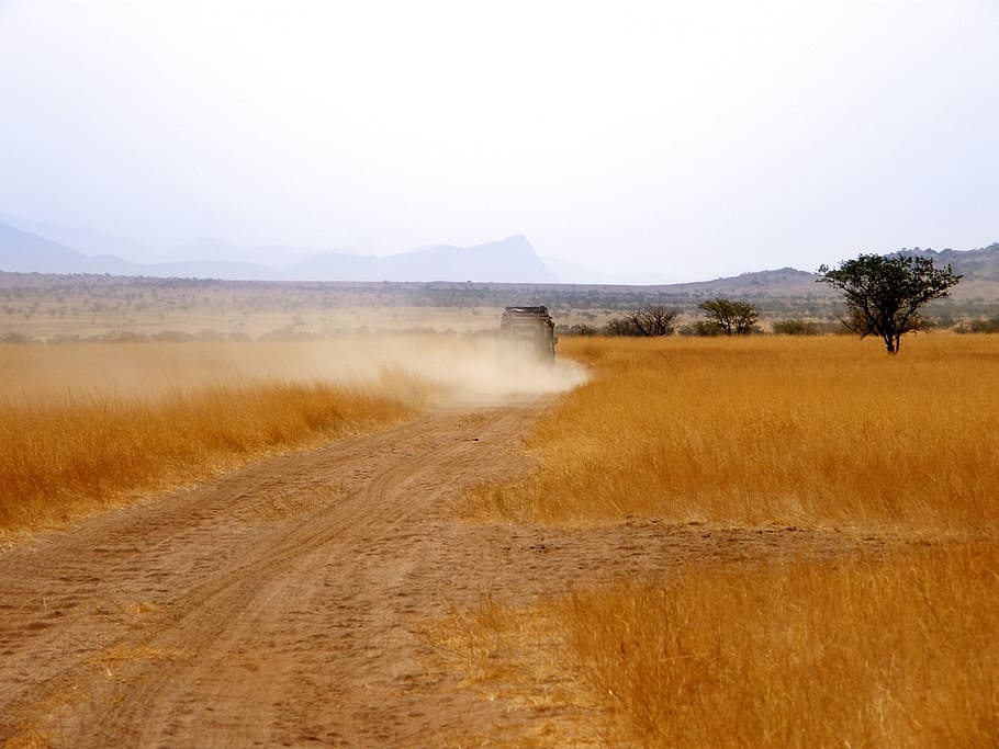 range rover, vehicle, dust cloud, grass, yellow grass, dry HD wallpaper