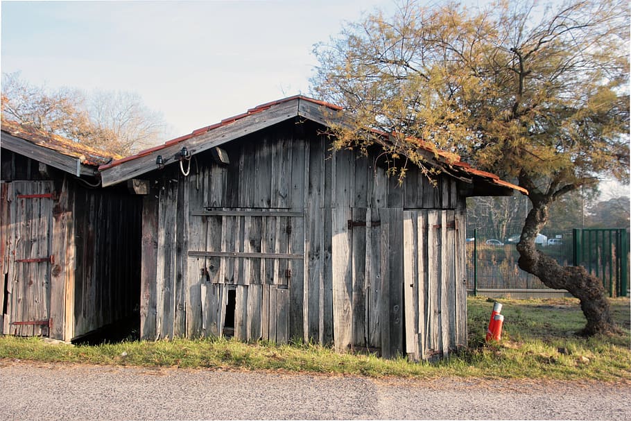 huts old, port, lanton, architecture, tree, built structure HD wallpaper