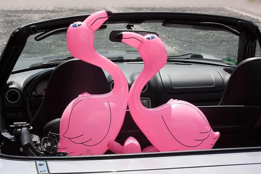flamingo, inflatable, pink, romantic, lovers, auto, cabriolet HD wallpaper