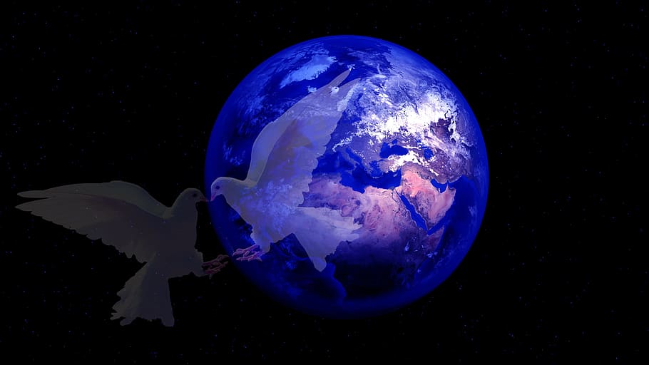 earth, harmony, dove, globe, galaxy, live, cosmos, space, sphere HD wallpaper