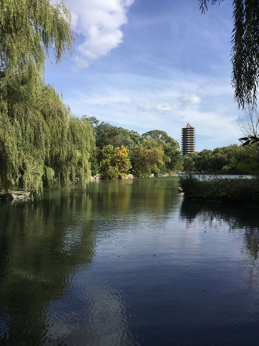 unnamed, beijing, lake, water, tree, plant, sky, reflection HD wallpaper