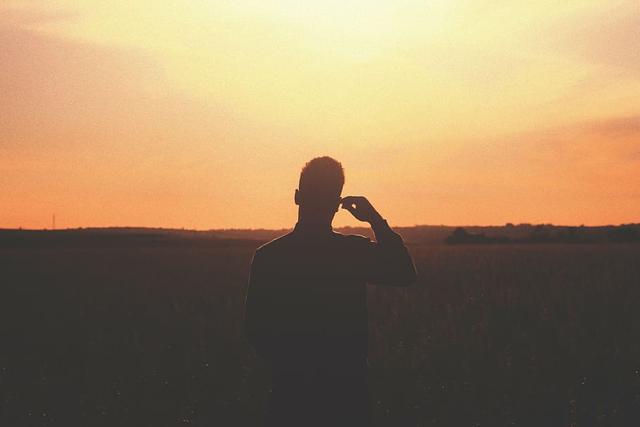 sunset, dusk, silhouette, shadow, landscape, nature, field HD wallpaper