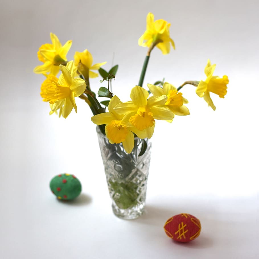 daffodils, flower, egg, easter, vase, holidays, flowering plant HD wallpaper