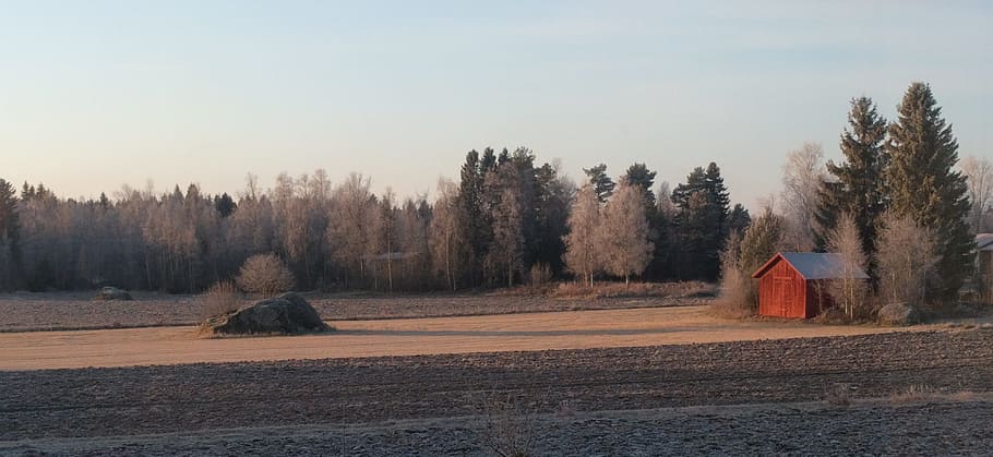 Autumn, Barn, Nature, winter, cold temperature, snow, no people HD wallpaper