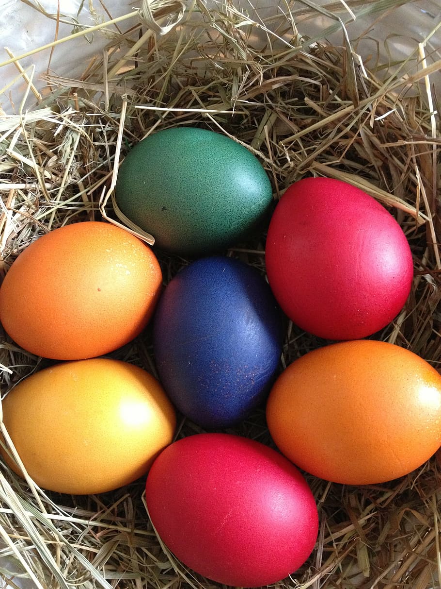 egg, easter, nest, easter egg, colored egg, happy easter, easter theme HD wallpaper
