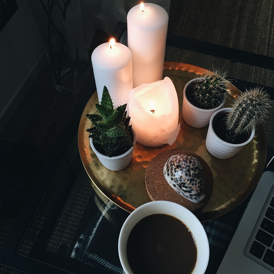 coffee, light, cactus, interior design, indoors, high angle view HD wallpaper